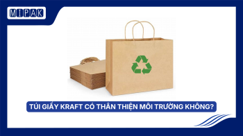 Túi Giấy Kraft Có Thân Thiện Môi Trường Không? Sự Thật Cần Biết